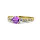 1 - Dzeni Amethyst and Diamond Three Stone with Side Diamond Ring  