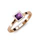 1 - Elcie 1.00 ct Amethyst Solitaire Ring  
