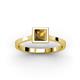 2 - Elcie 1.00 ct Citrine Solitaire Ring  