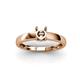 3 - Ilone Semi Mount Engagement Ring 