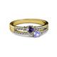 2 - Zaira Iolite and Tanzanite with Side Diamonds Split Shank Ring 