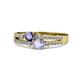 3 - Zaira Iolite and Tanzanite with Side Diamonds Split Shank Ring 