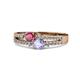 3 - Zaira Rhodolite Garnet and Tanzanite with Side Diamonds Split Shank Ring 