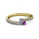 2 - Delise 3.40mm Round Tanzanite and Amethyst with Side Diamonds Bypass Ring 