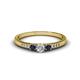 1 - Tresu Diamond and Blue Sapphire Three Stone Ring  