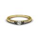1 - Tresu Black and White Diamond Three Stone Ring  
