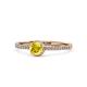 1 - Irene Yellow Sapphire and Diamond Halo Engagement Ring 