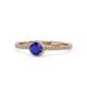 1 - Irene Blue Sapphire and Diamond Halo Engagement Ring 