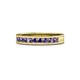 1 - Vanna 2.20 mm Iolite 9 Stone Wedding Band 