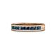 1 - Vanna 2.20 mm Blue Diamond 9 Stone Wedding Band 