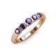 1 - Roena 0.66 ctw Iolite Round (3.80 mm) & (3.30 mm) 5 Stone Wedding Band 