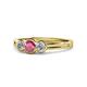 1 - Irina Rhodolite Garnet and Diamond Three Stone Engagement Ring 