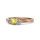 1 - Irina Yellow and White Diamond Three Stone Engagement Ring 
