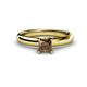 1 - Bianca Princess Cut Smoky Quartz Solitaire Engagement Ring 
