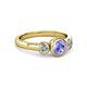 3 - Avrit Tanzanite and Diamond Three Stone Engagement Ring 