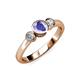 2 - Avrit Tanzanite and Diamond Three Stone Engagement Ring 
