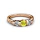 3 - Raea Yellow and White Diamond Three Stone Engagement Ring 