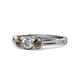 1 - Irina Diamond and Smoky Quartz Three Stone Engagement Ring 