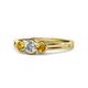 1 - Irina Diamond and Citrine Three Stone Engagement Ring 