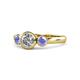 1 - Avrit Diamond and Tanzanite Three Stone Engagement Ring 