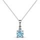 1 - Reyne Aquamarine and Diamond Two Stone Pendant 