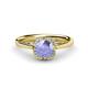 1 - Myrna Round Tanzanite and Diamond Halo Engagement Ring 