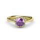 1 - Myrna Round Amethyst and Diamond Halo Engagement Ring 