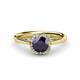 1 - Myrna Round Iolite and Diamond Halo Engagement Ring 