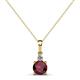 1 - Reyne Ruby and Diamond Two Stone Pendant 