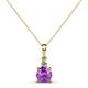 1 - Reyne Amethyst and Diamond Two Stone Pendant 