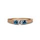 3 - Reveka Blue and White Diamond Three Stone Engagement Ring 