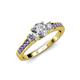 2 - Dzeni Diamond Three Stone with Side Tanzanite Ring 