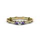 1 - Twyla 0.26 ctw Natural Diamond (3.40 mm) and Iolite Three Stone Engagement Ring  