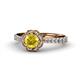 1 - Florus Yellow Sapphire and Diamond Halo Engagement Ring 