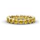 1 - Arria 3.00 mm Citrine Eternity Band 