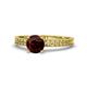 1 - Janina Classic Red Garnet Solitaire Engagement Ring 