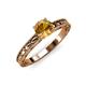 3 - Rachel Classic 6.50 mm Round Citrine Solitaire Engagement Ring 