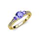 2 - Dzeni Tanzanite Three Stone with Side Diamond Ring 