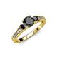 2 - Dzeni Black Diamond Three Stone with Side Diamond Ring 