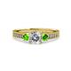 3 - Dzeni Diamond and Peridot Three Stone Engagement Ring 
