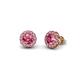 1 - Bernice 0.71 ctw Round Pink Tourmaline Halo Stud Earrings 