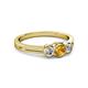 2 - Irina Citrine and Diamond Three Stone Engagement Ring 