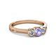 2 - Irina Tanzanite and Diamond Three Stone Engagement Ring 