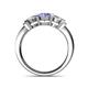 4 - Raea Tanzanite and Diamond Three Stone Engagement Ring 