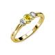 3 - Irina Yellow Sapphire and Diamond Three Stone Engagement Ring 
