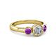 3 - Avrit Diamond and Amethyst Three Stone Engagement Ring 