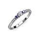 2 - Tresu Diamond and Iolite Three Stone Ring  