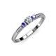 2 - Tresu Diamond and Tanzanite Three Stone Ring  