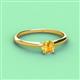 2 - Solus Round Citrine Solitaire Engagement Ring  
