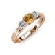 2 - Alyssa 5.50 mm Citrine and Diamond Thick Shank Three Stone Ring 